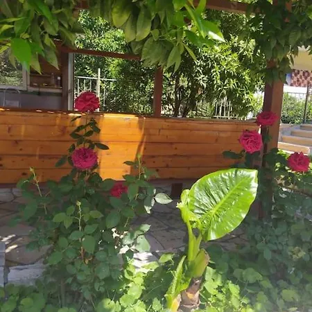 Sokoli, Lovely Modern * Τίρανα