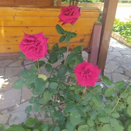 Διαμέρισμα Sokoli, Lovely Modern *